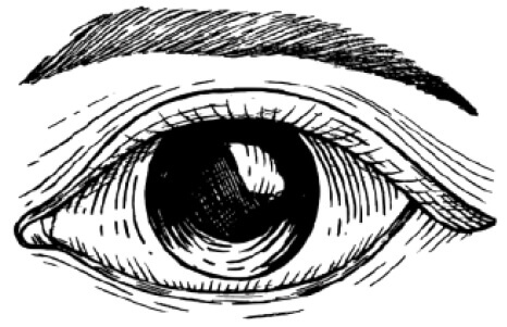vision image